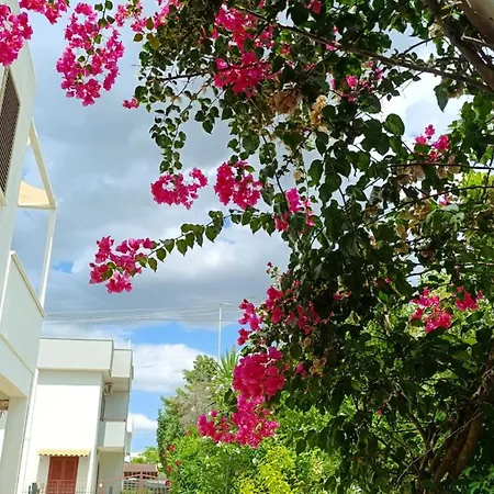 Apartment Marea