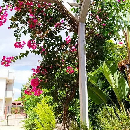 Apartment Marea Porto Cesareo