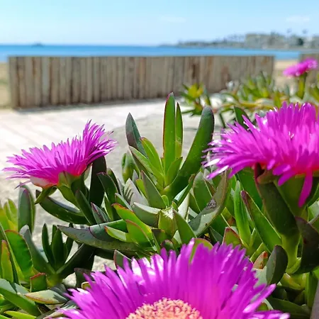Marea Apartment Porto Cesareo